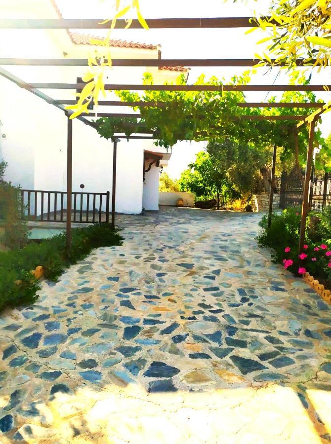 Villa Leonidas Greecefiloxenia 레포카스트론 외부 사진