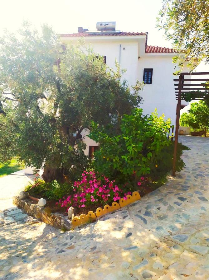 Villa Leonidas Greecefiloxenia 레포카스트론 외부 사진