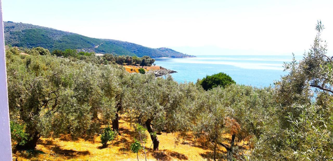 Villa Leonidas Greecefiloxenia 레포카스트론 외부 사진